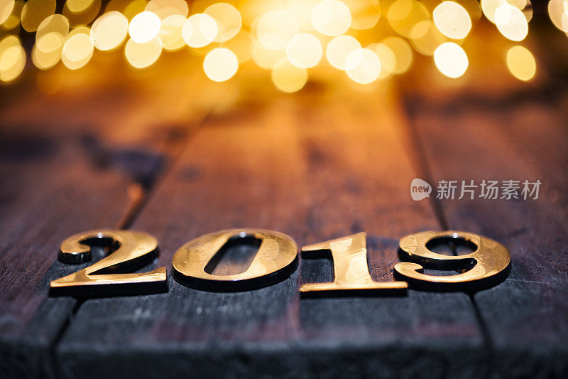 新年2019 -圣诞金灯木